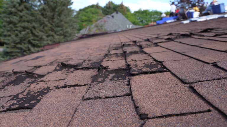 Best Skylight Installation and Repair  in Hebron, OH